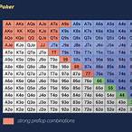 net bet poker